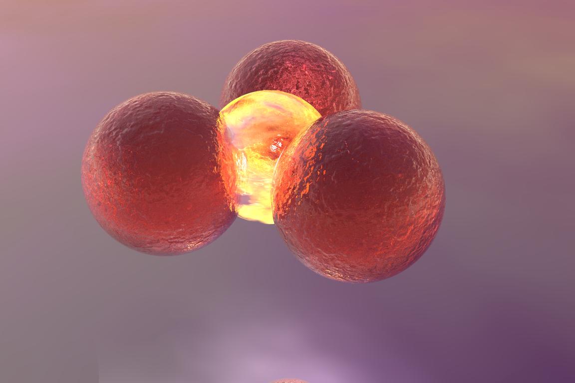 Orb fission