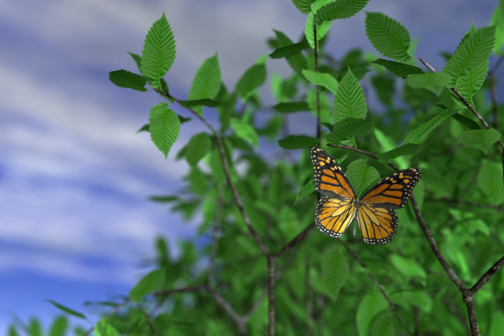 Monarch