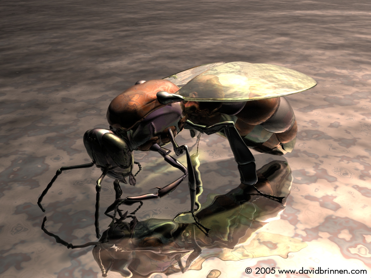 Metal Bee