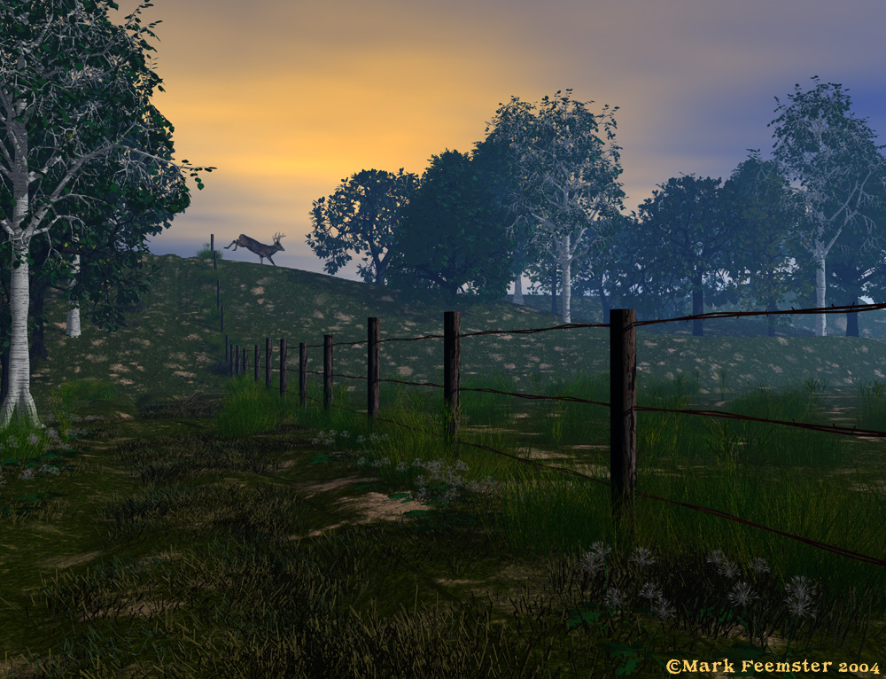 grassy road