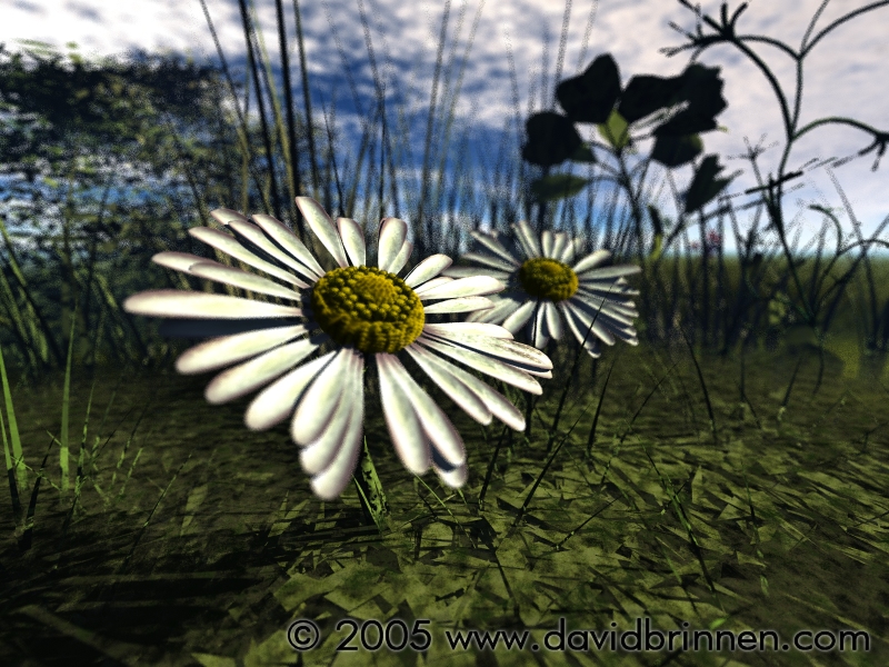 DaisyMKI