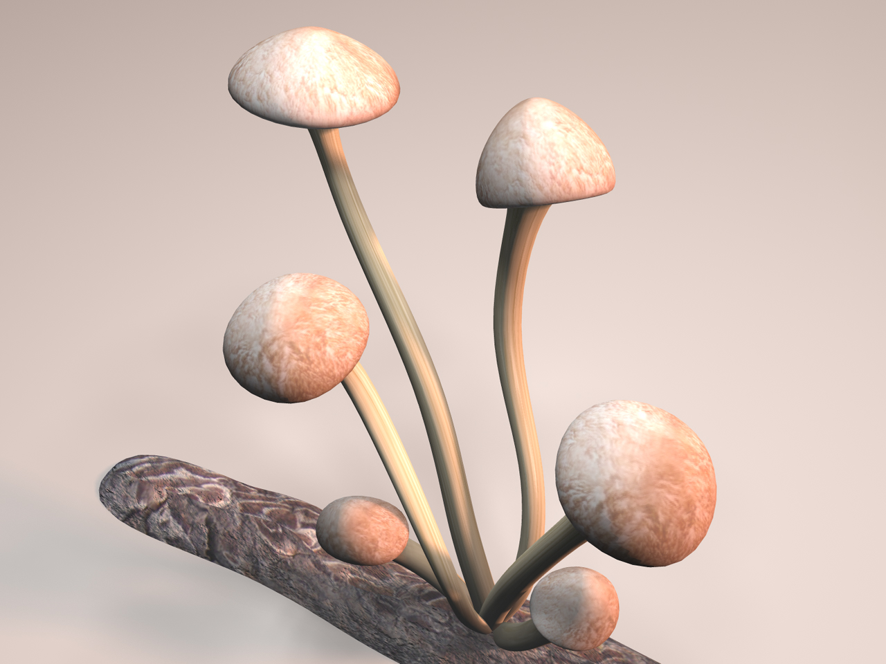 Mushroom Log