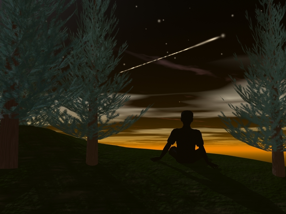 Peaceful Night