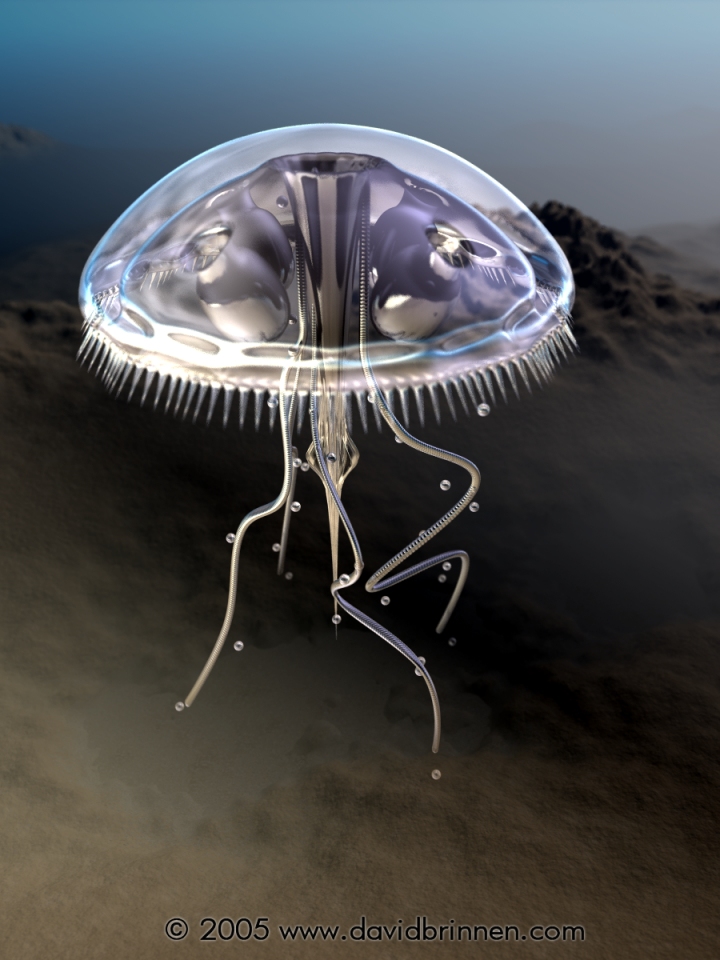 Jellyfish
