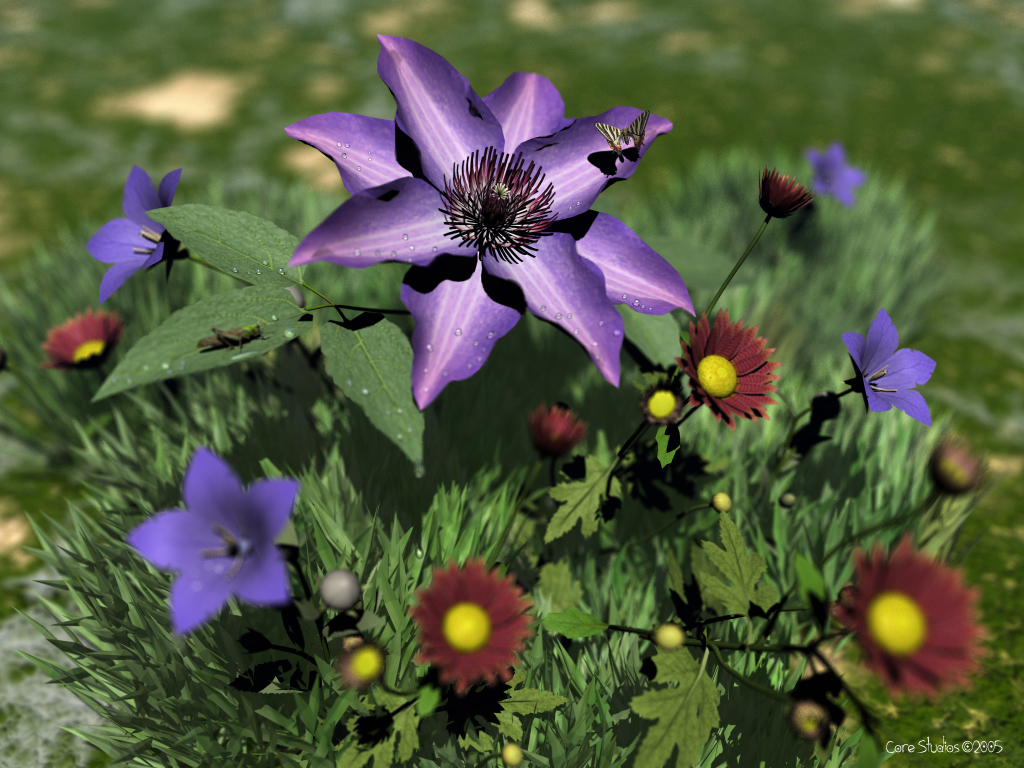 Purple Serenity