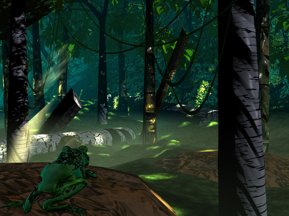 Deep in the Rainforest