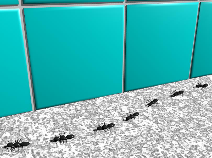 Ants Go Marching