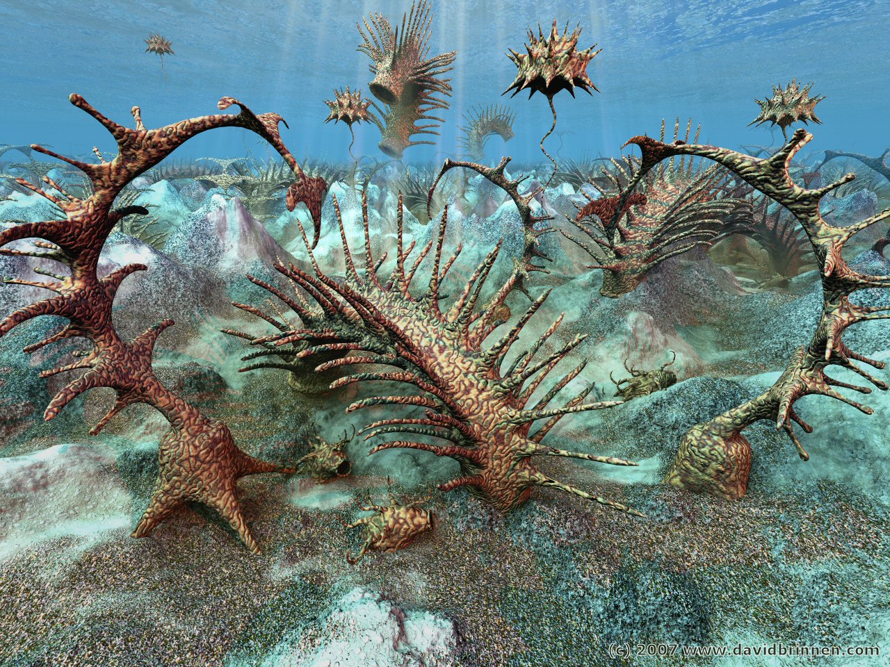 Sealife