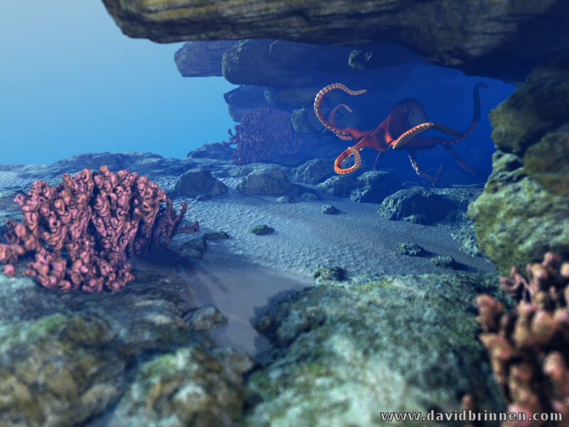 Seafloor MKI