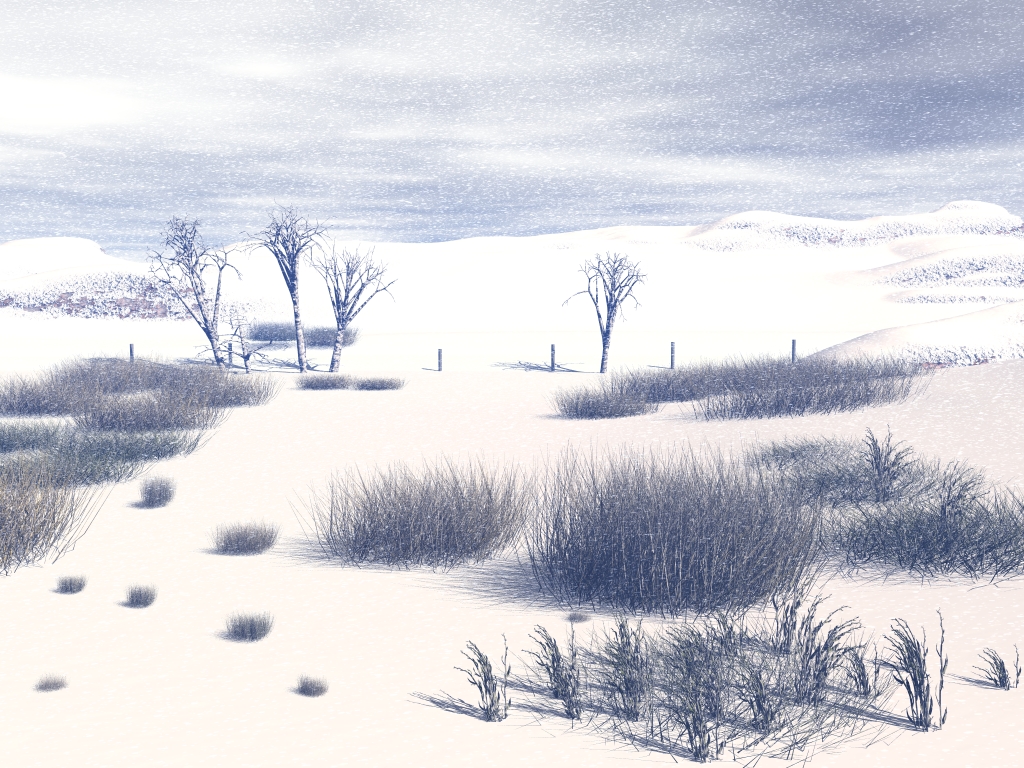 Winter Segment of the Contest Entry
