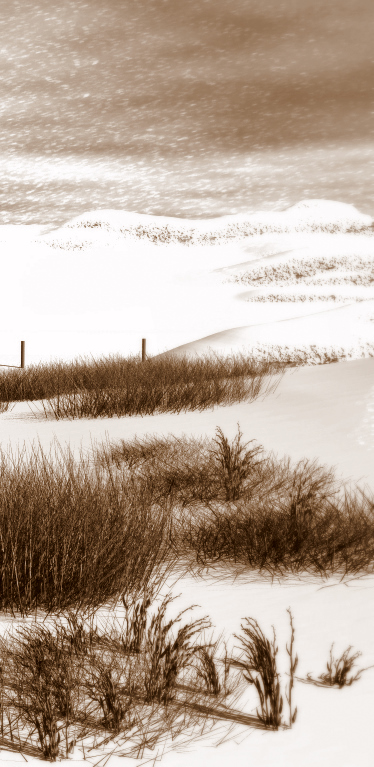 Winter Render with David's Snow