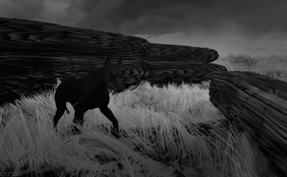 Wood Yard (Photoshoped)