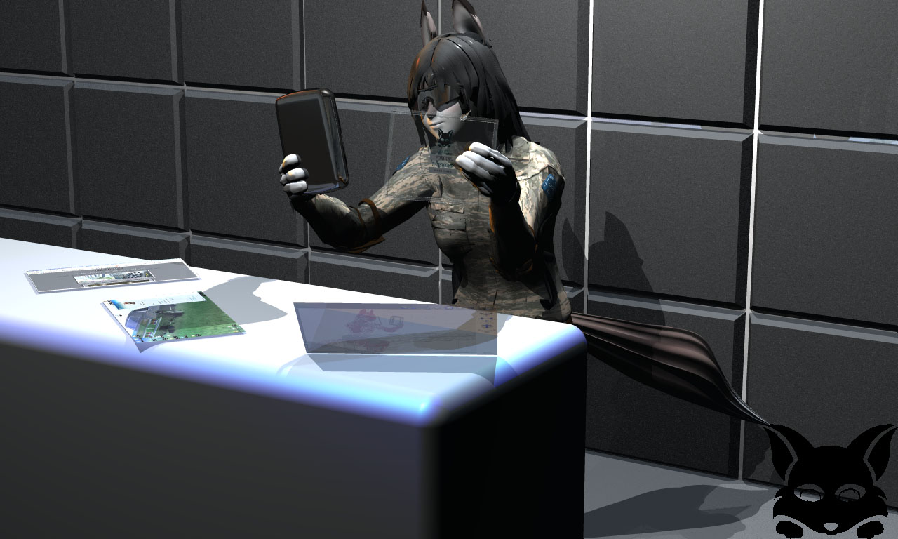 Desk Officer
