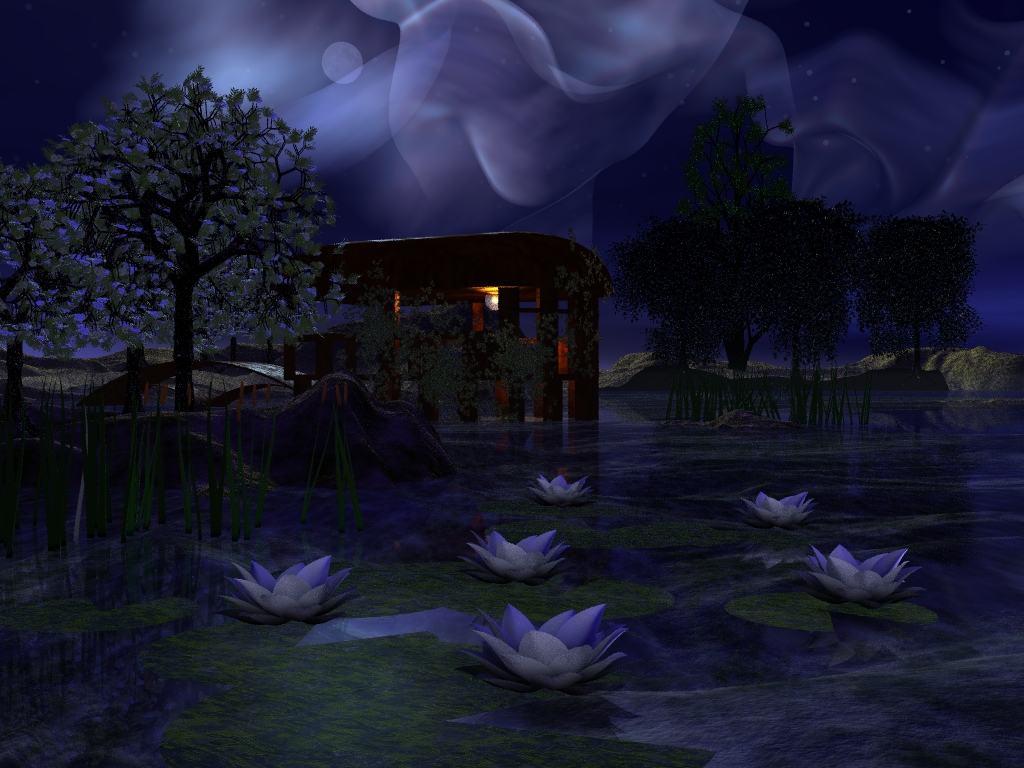 Tender Night