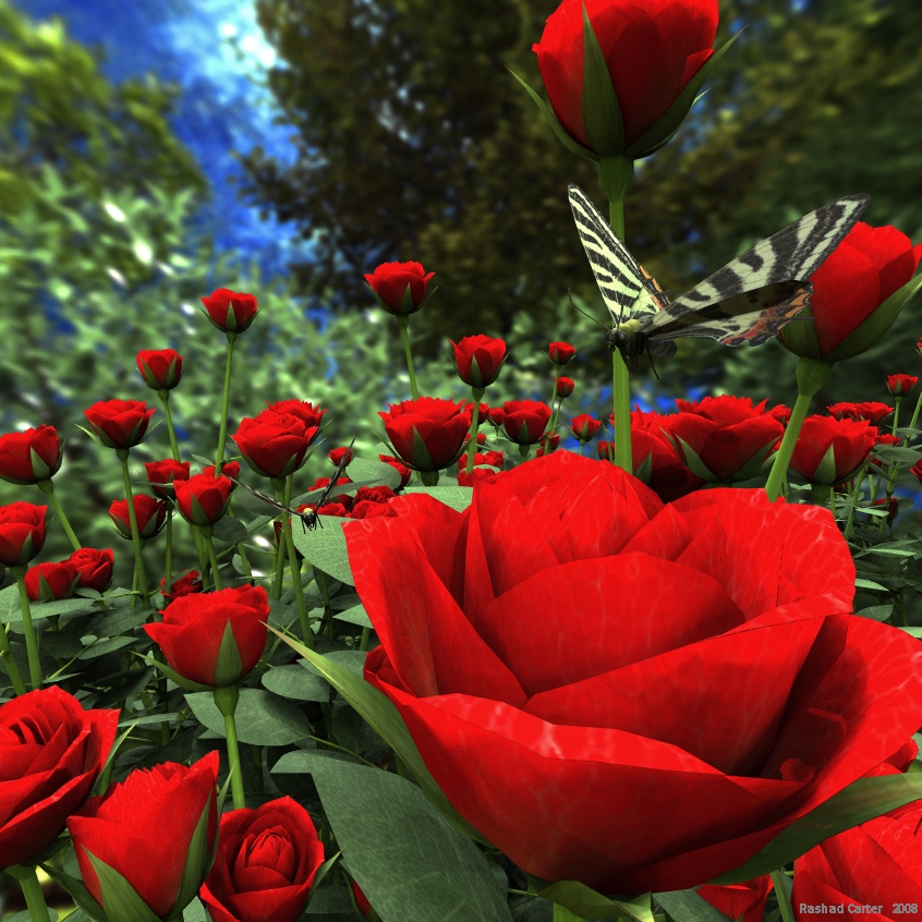 Roses