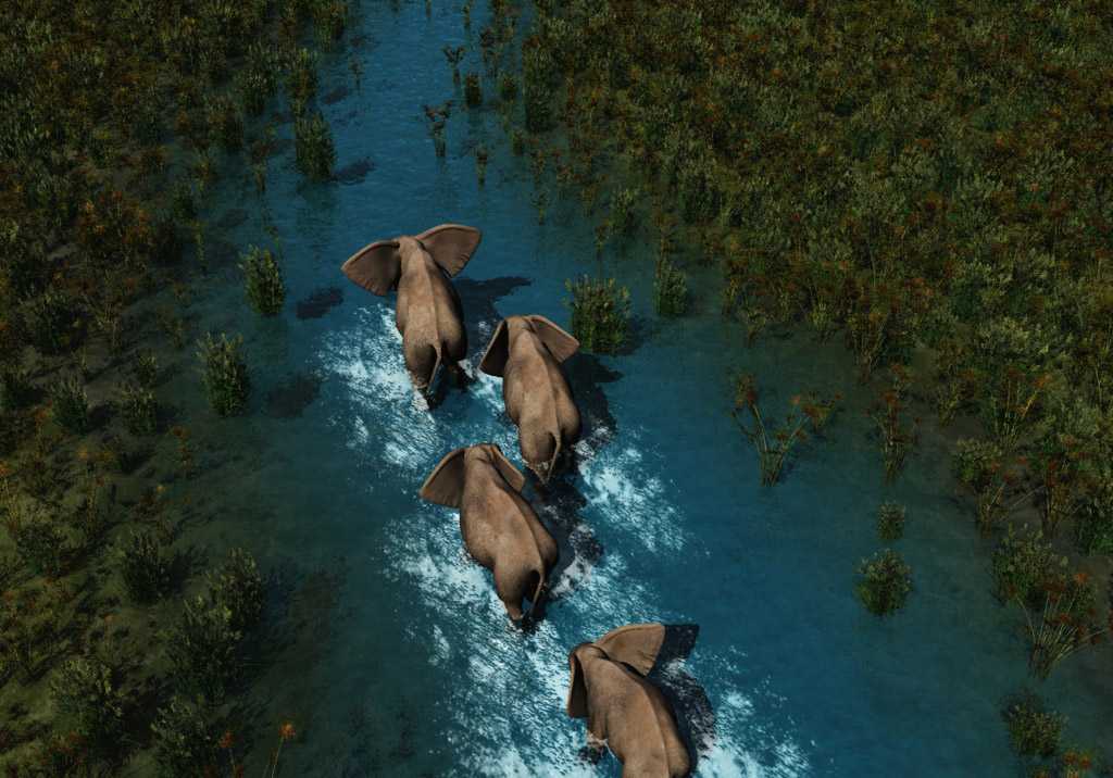 Mountain River