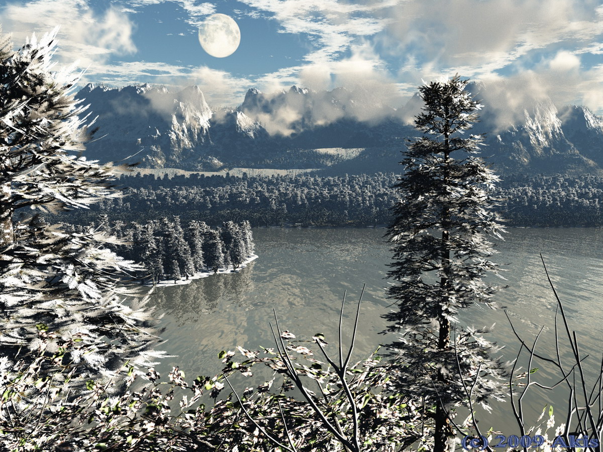 Winter