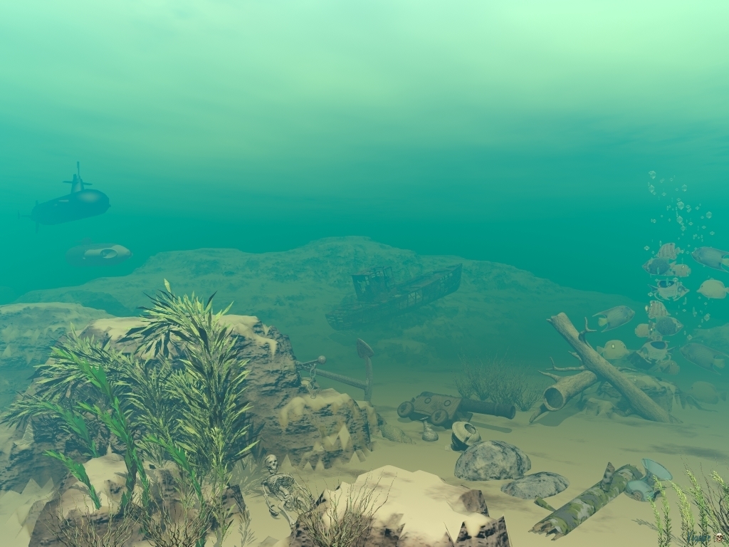 Murky Waters