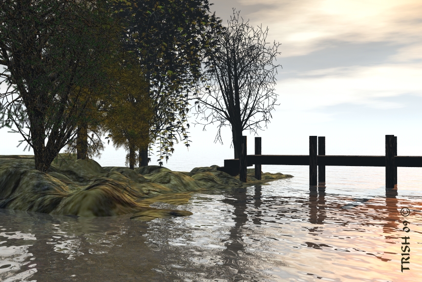 Reflections on Water