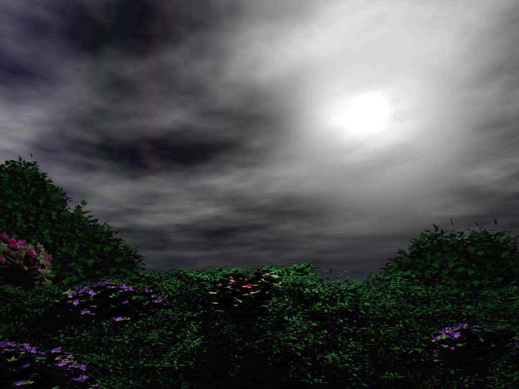 Stormy Day