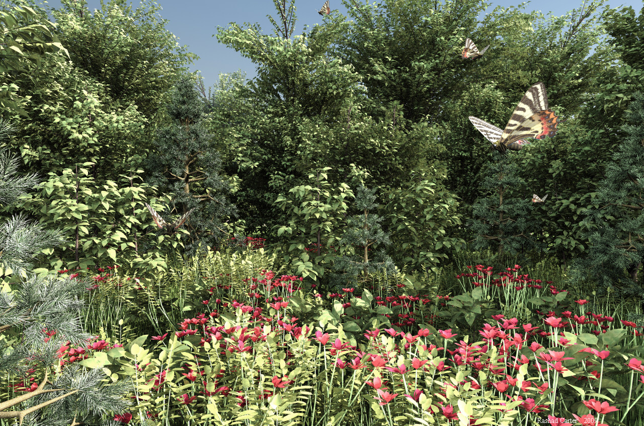 5 Butterflies