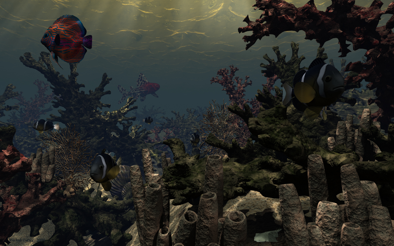 Salty Sanctuary