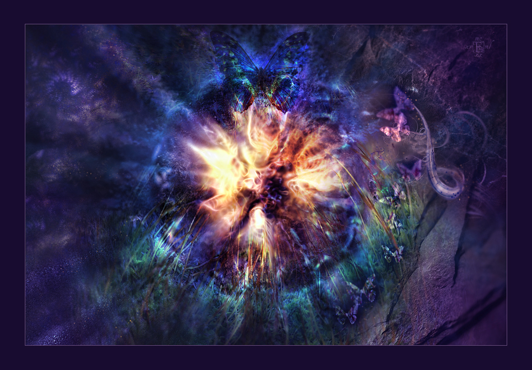 Universal Phenomenon II