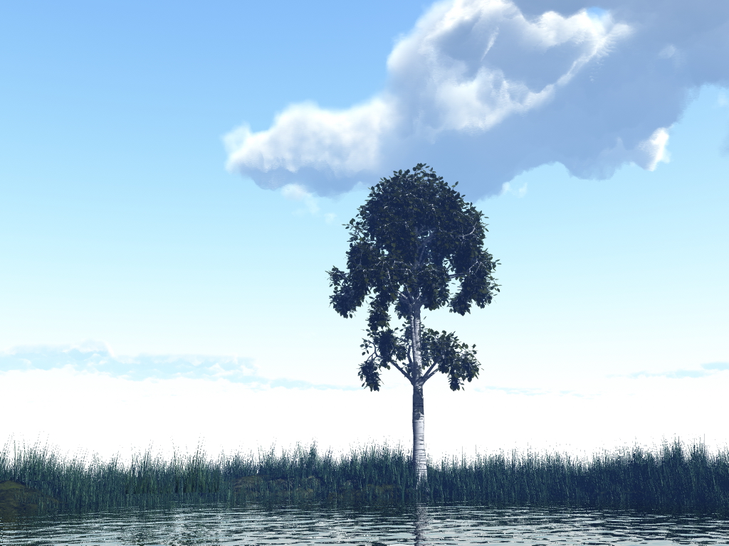 Lonely Birch