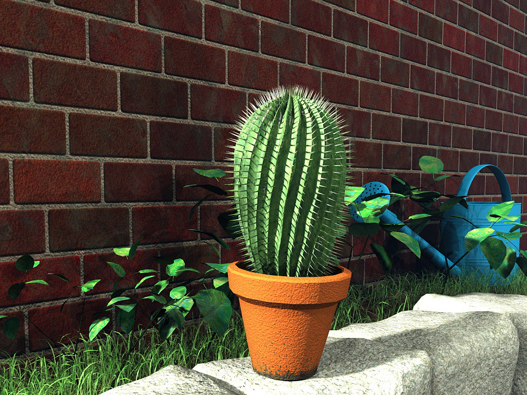 My little garden