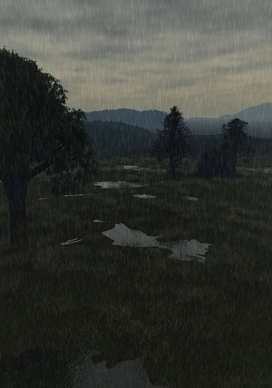 Rainy Day In June
