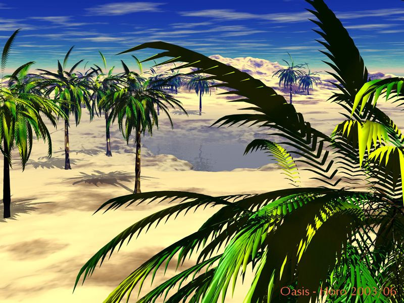Oasis