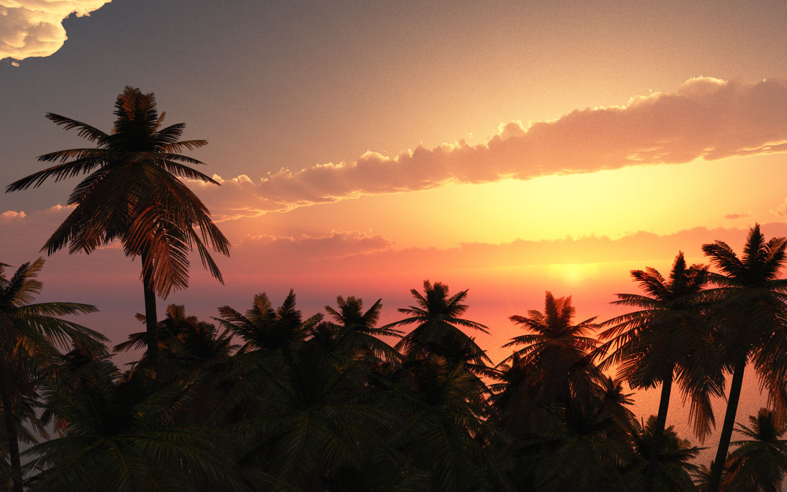 Island Sunset, Vue 10 Esprit