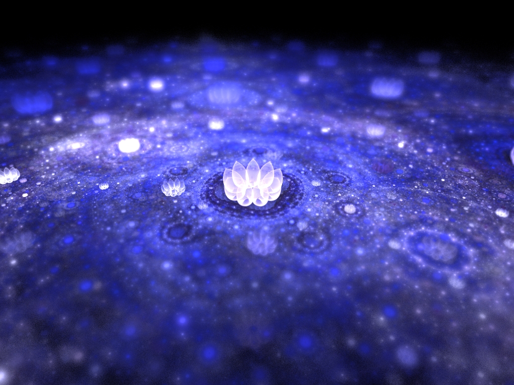Pond of Night Lotus