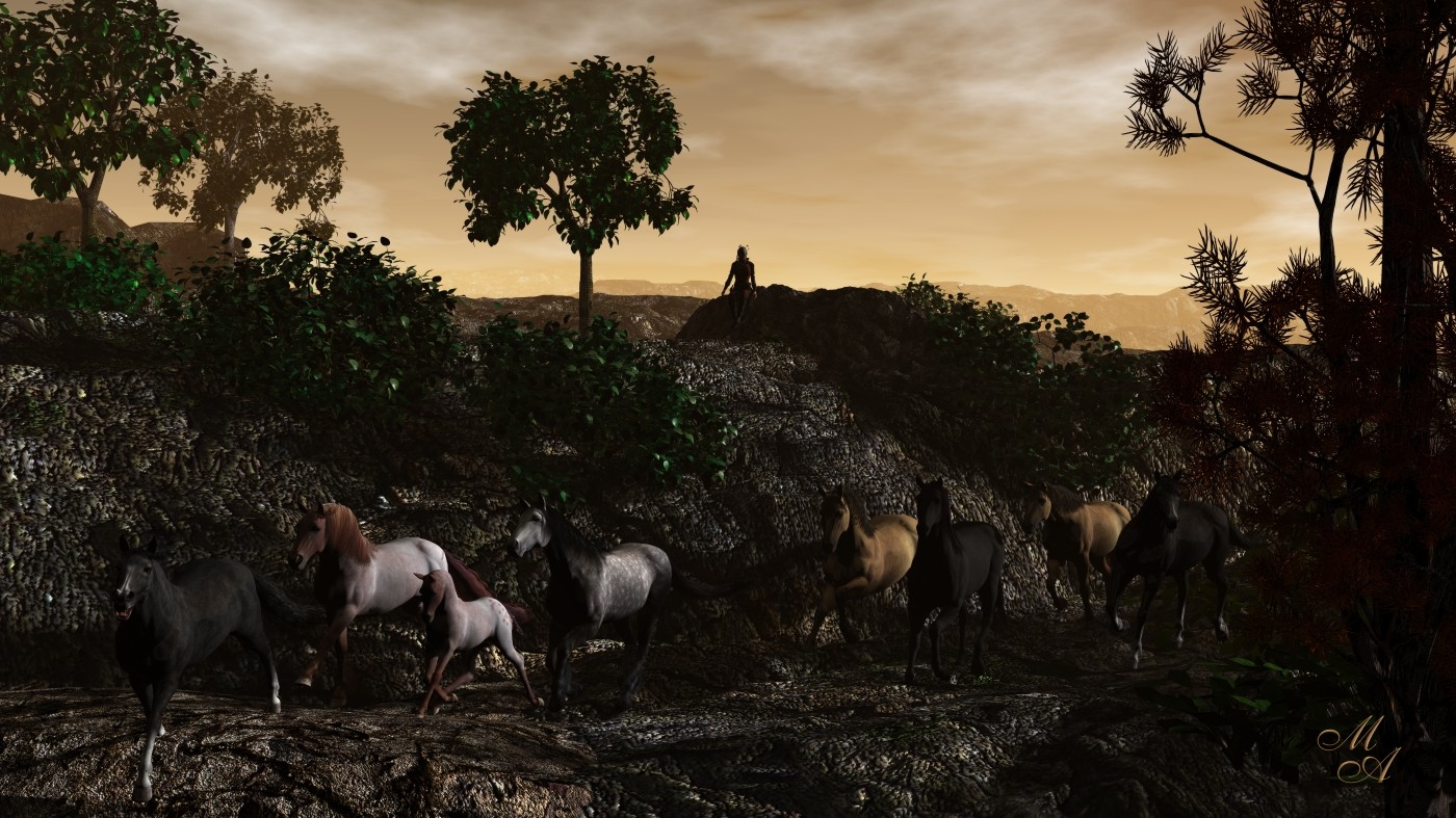 Horses new