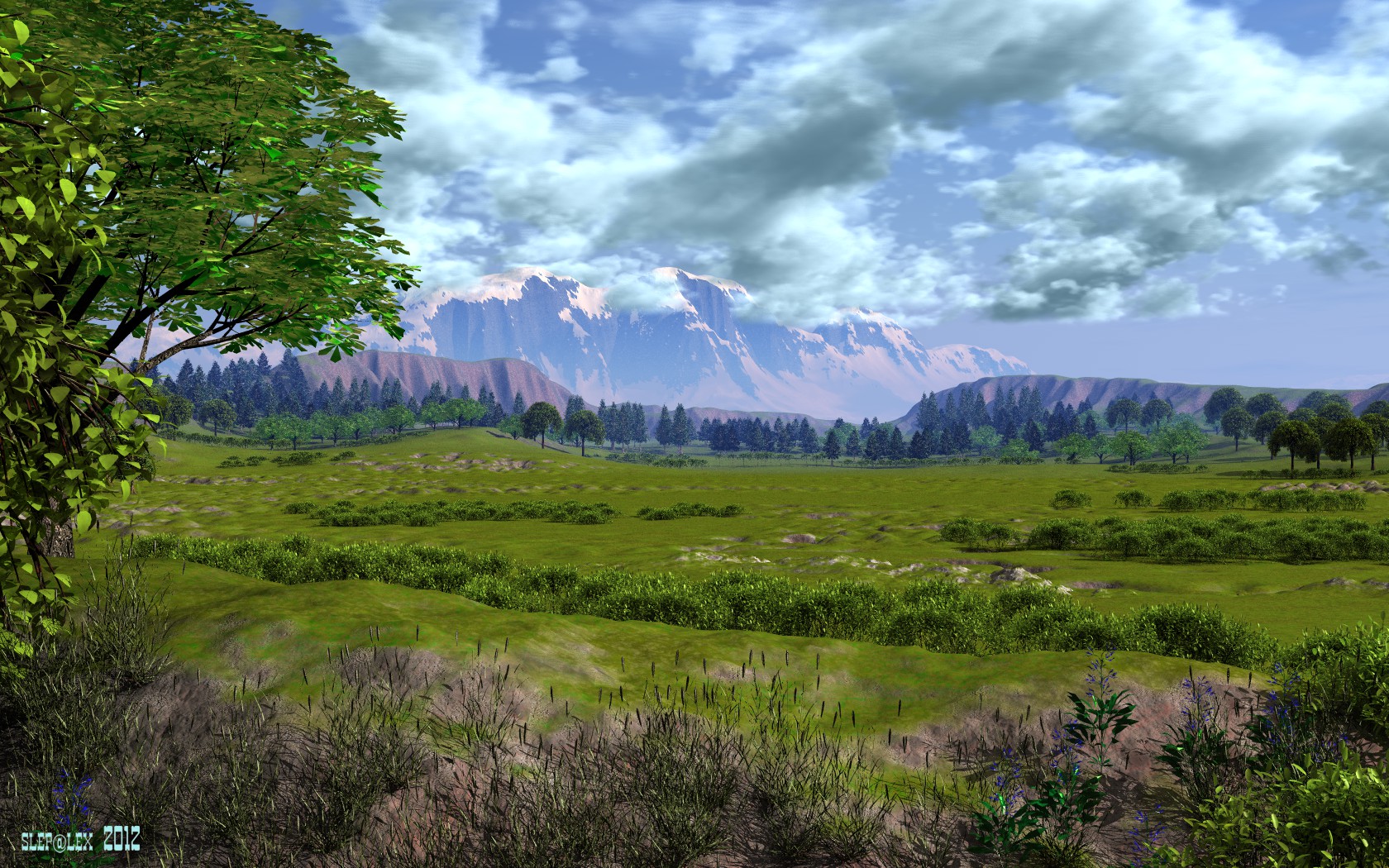 A sunny day in the valley