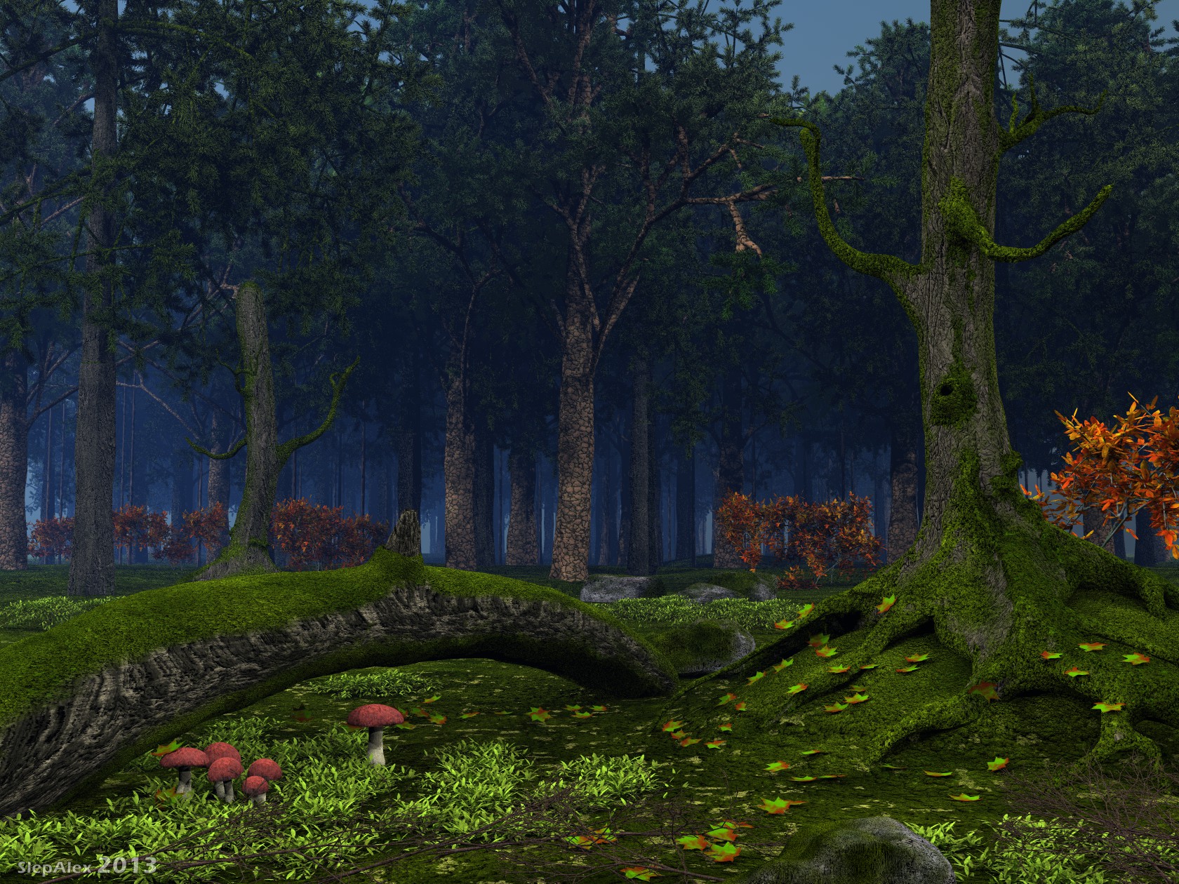 In the forest silence
