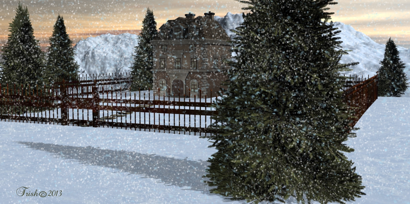 Winter Blizzard
