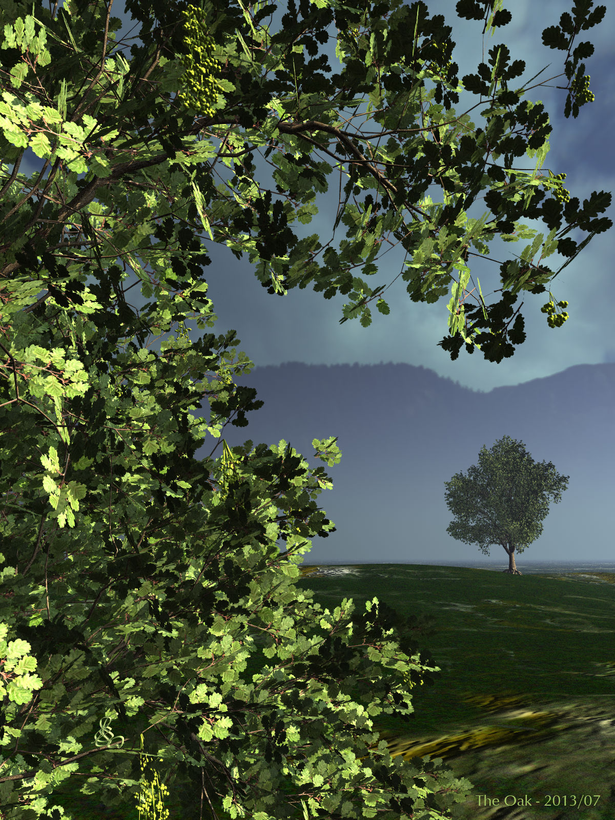 The Oak