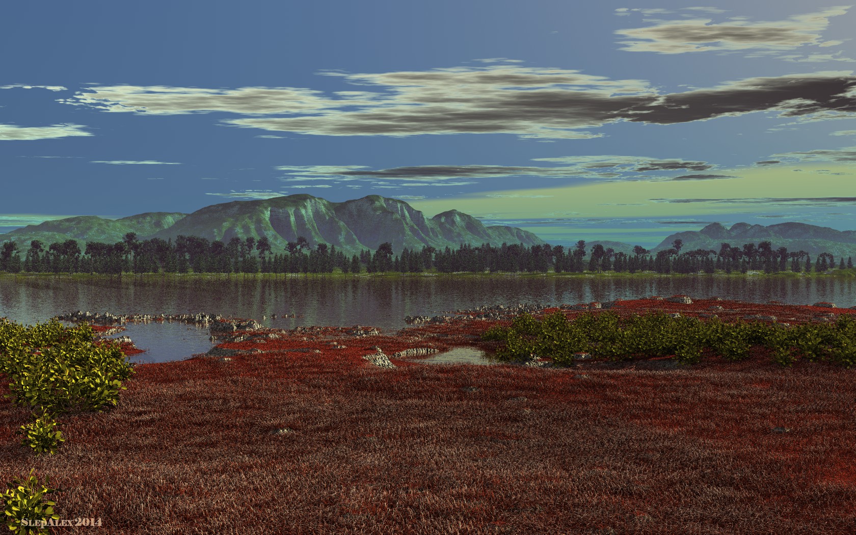 Grassy coast 1