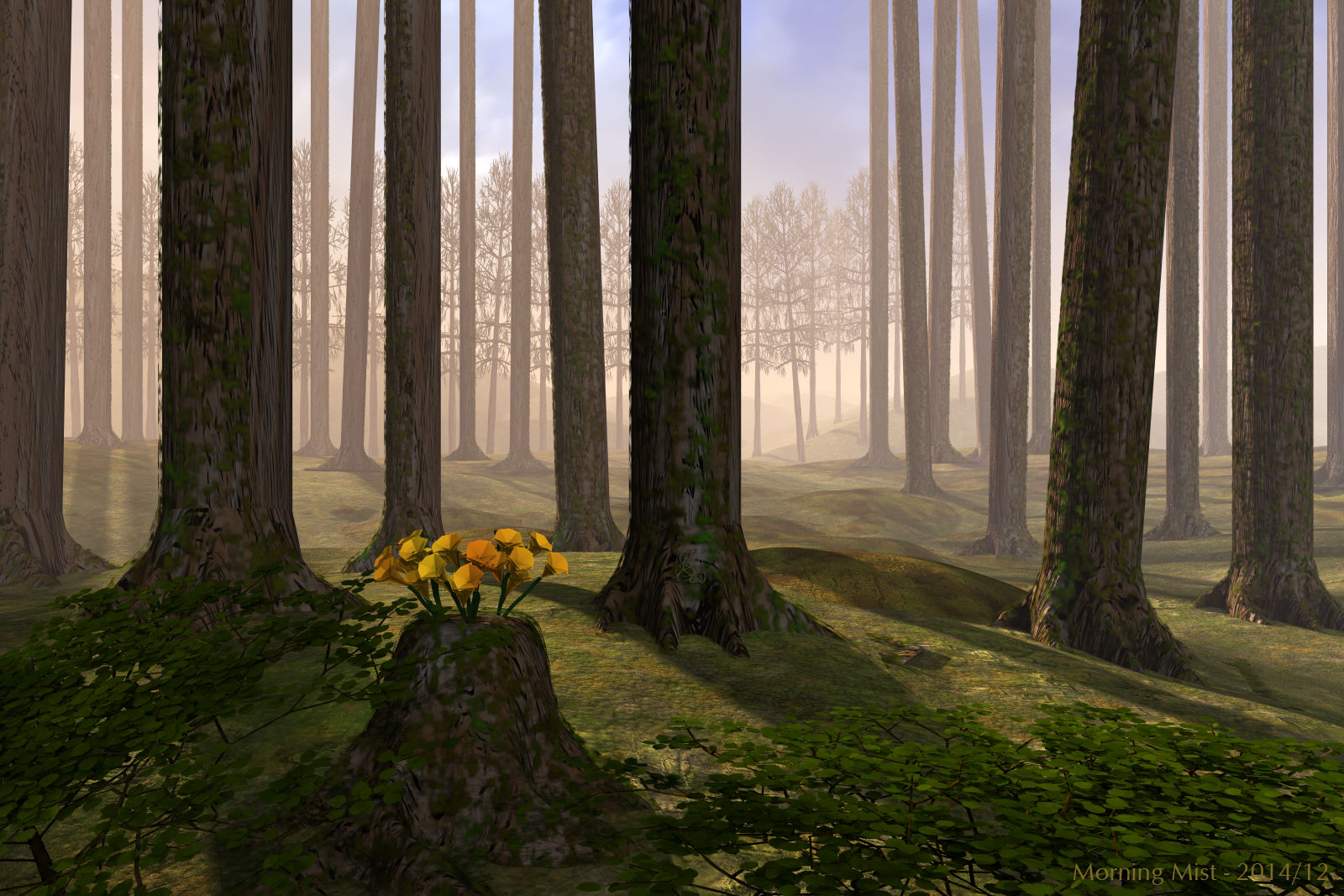 Morning Mist