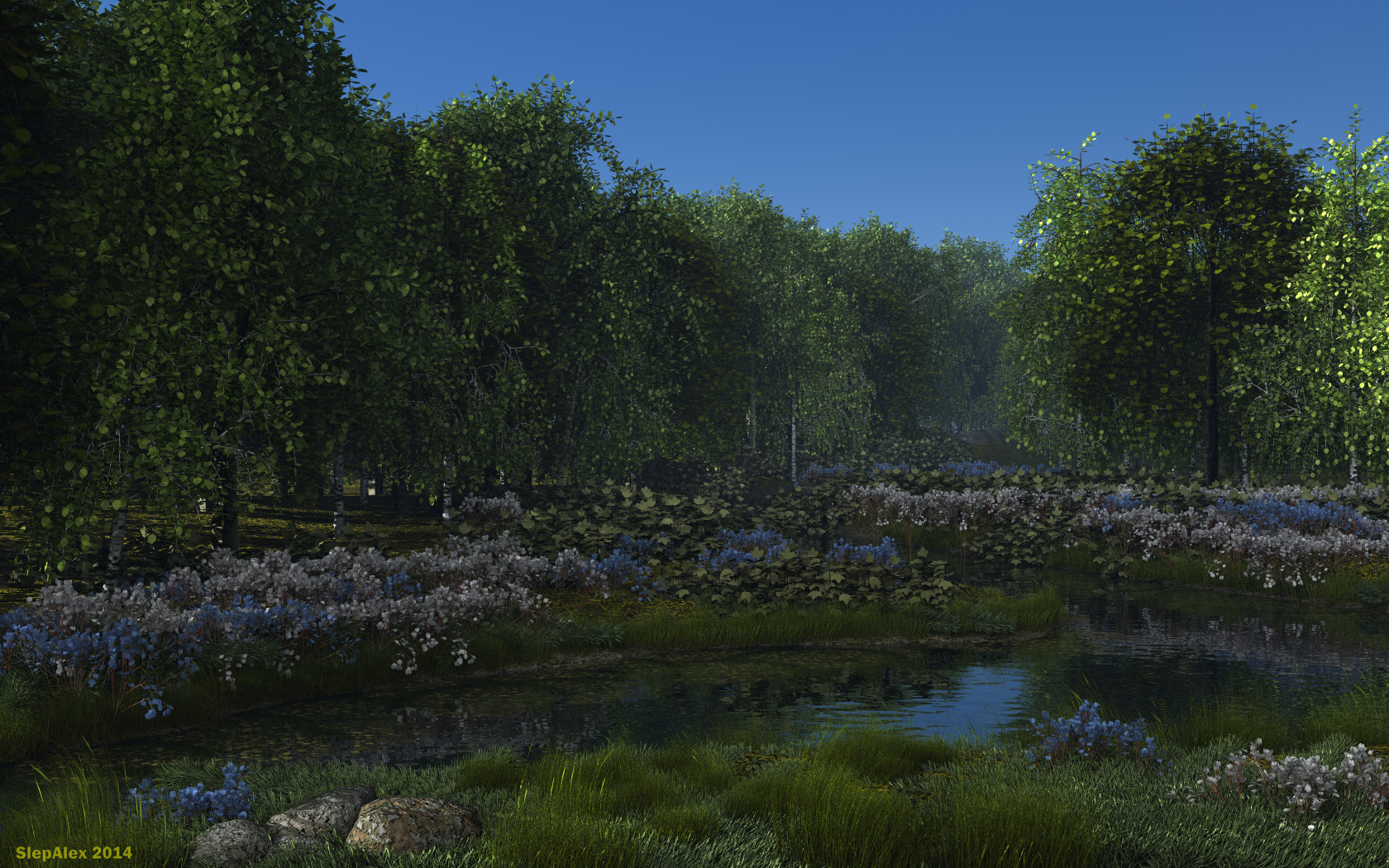 Morning in the park