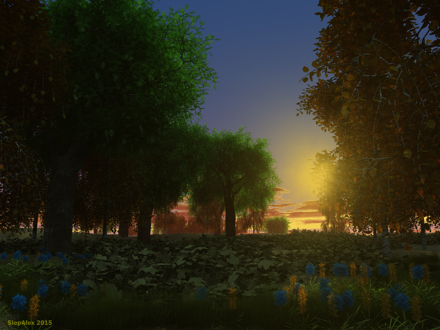 Grove at sunset