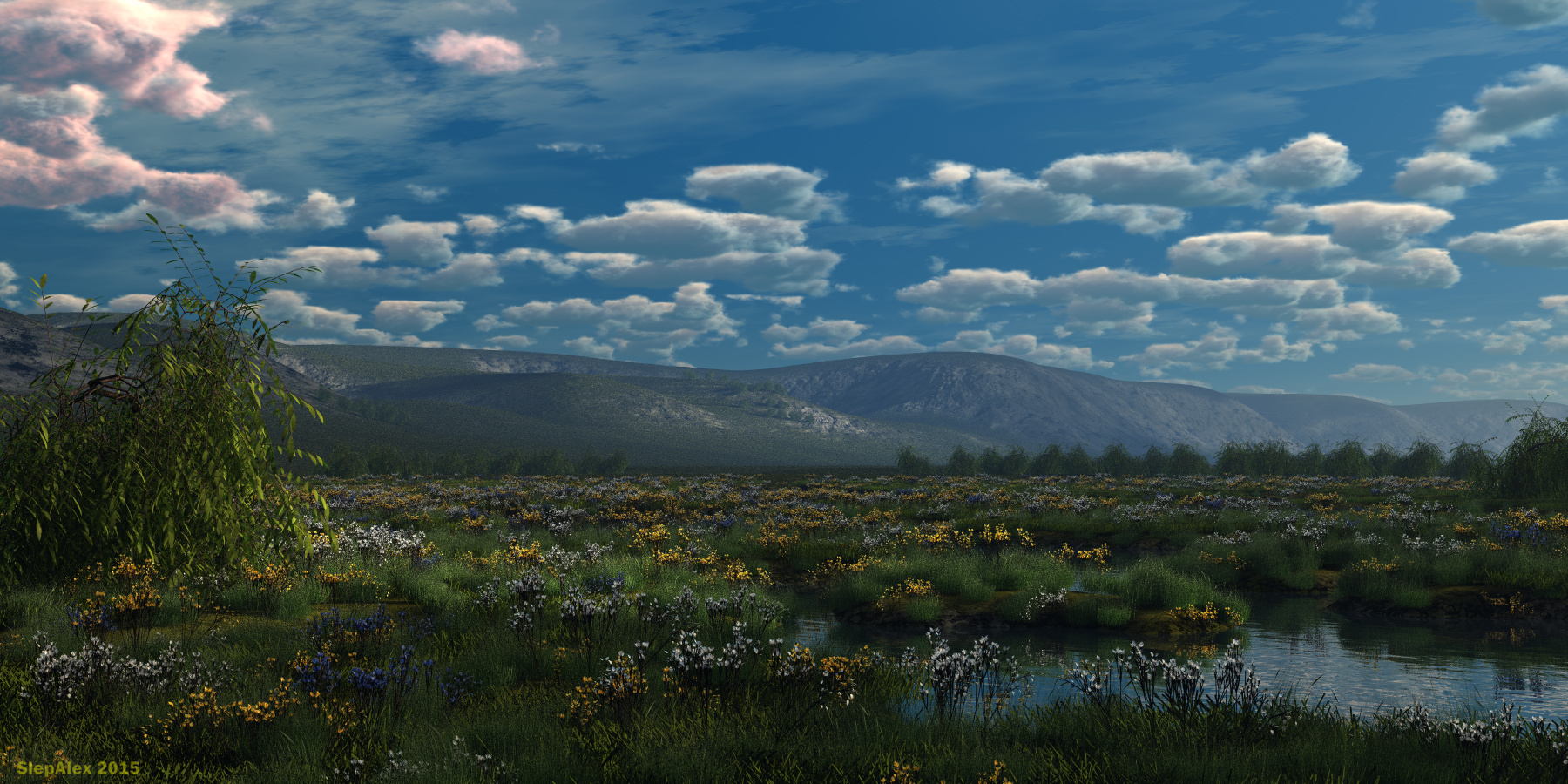 Meadow