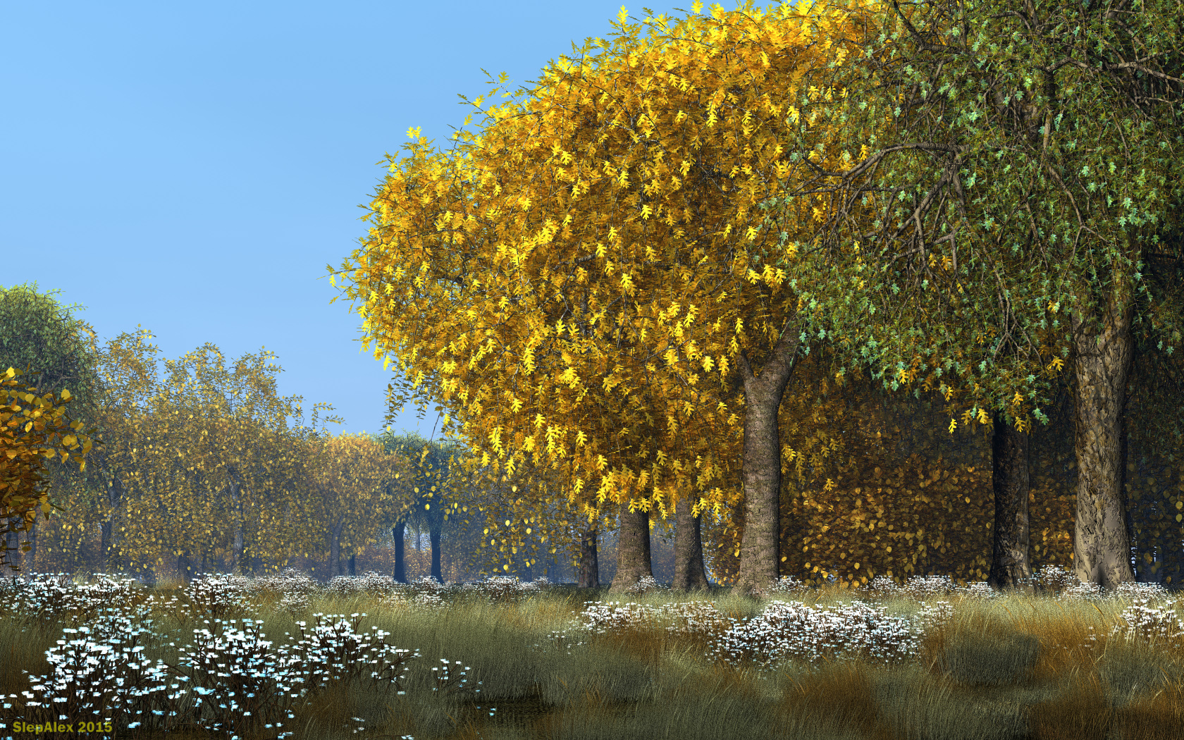 Oak Grove
