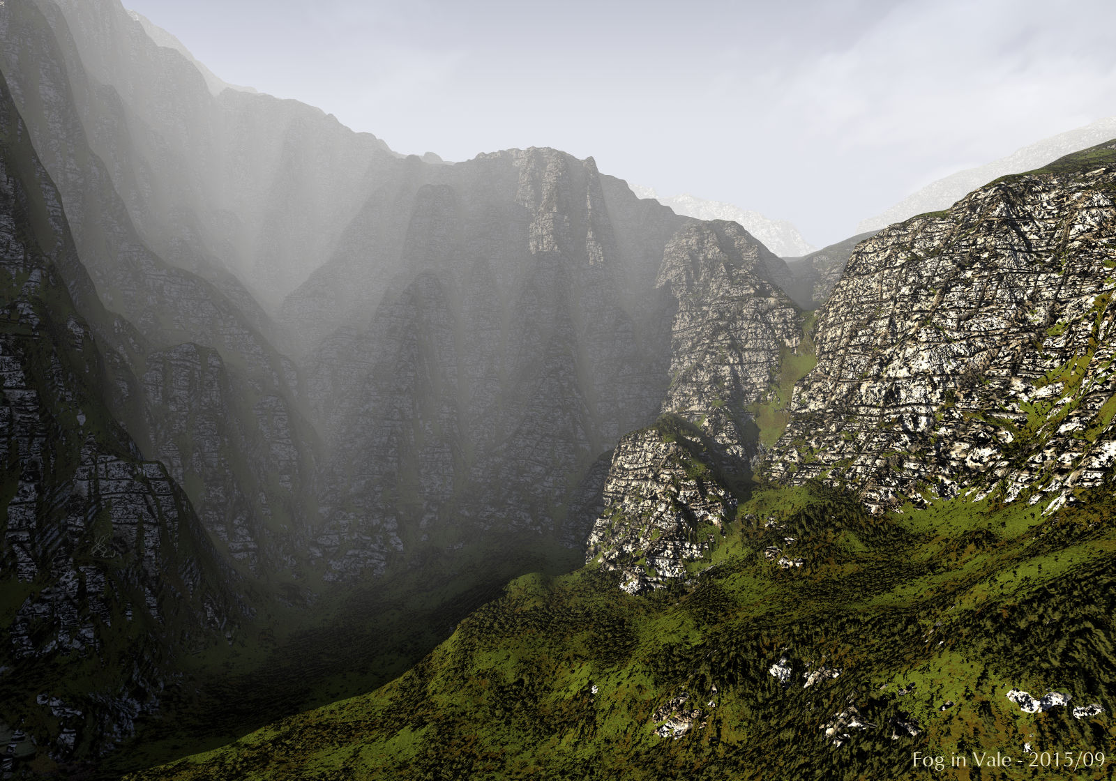 Fog in Vale