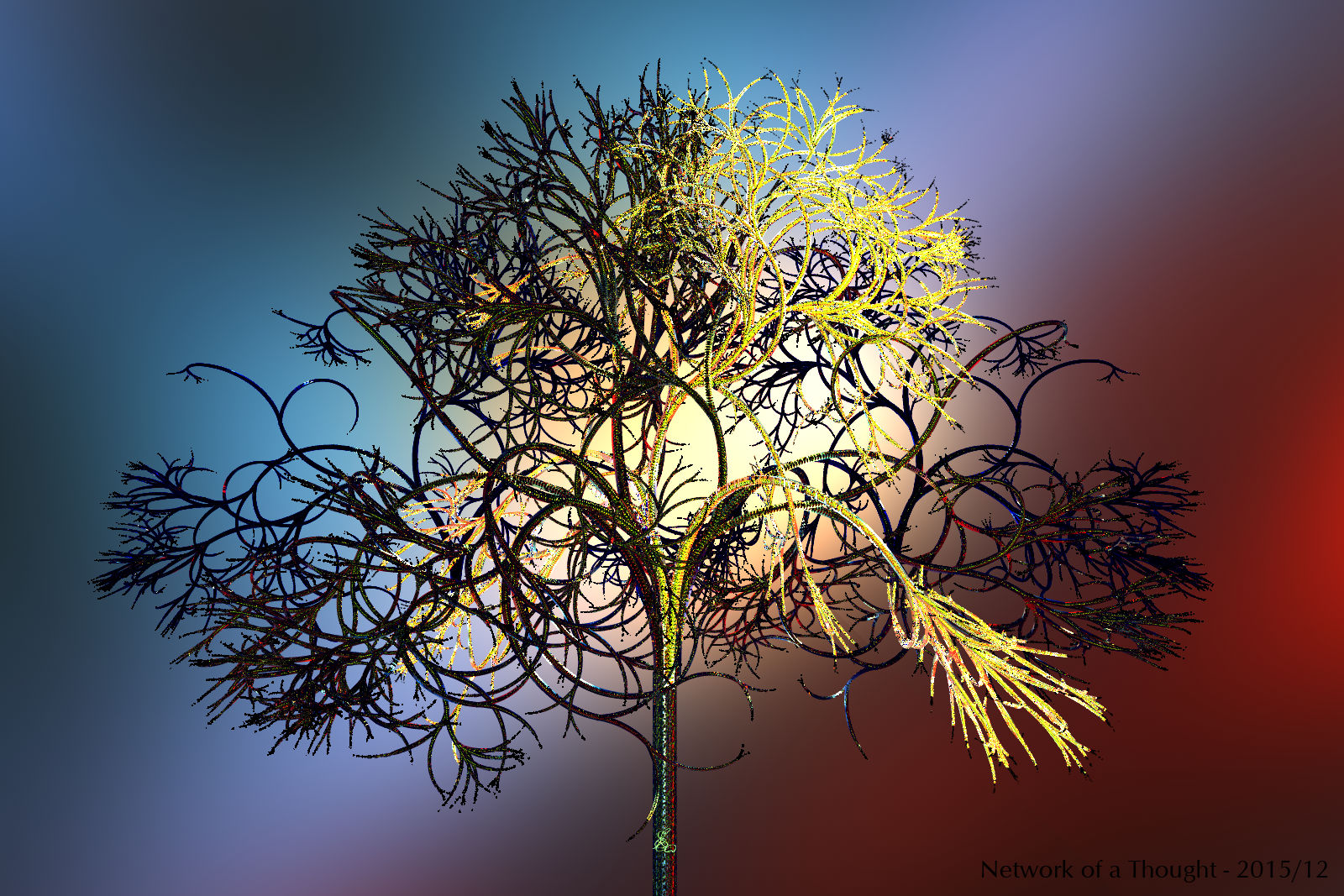 Network of a Thought