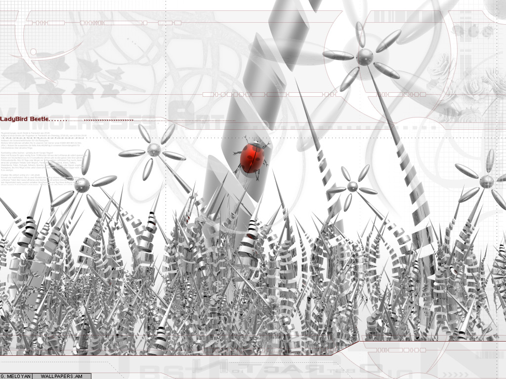 Vimglasses Art (LadyBird Beetle)