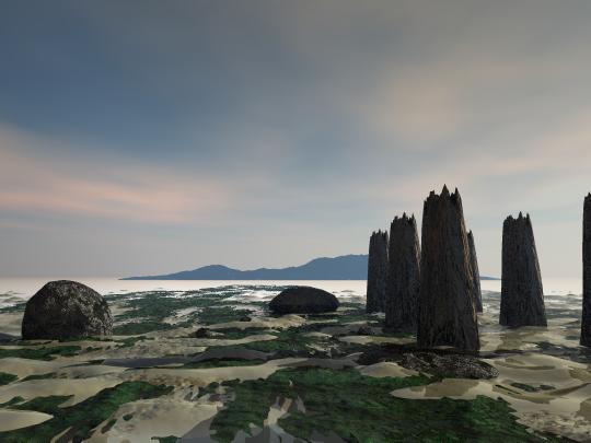 Low Tide
