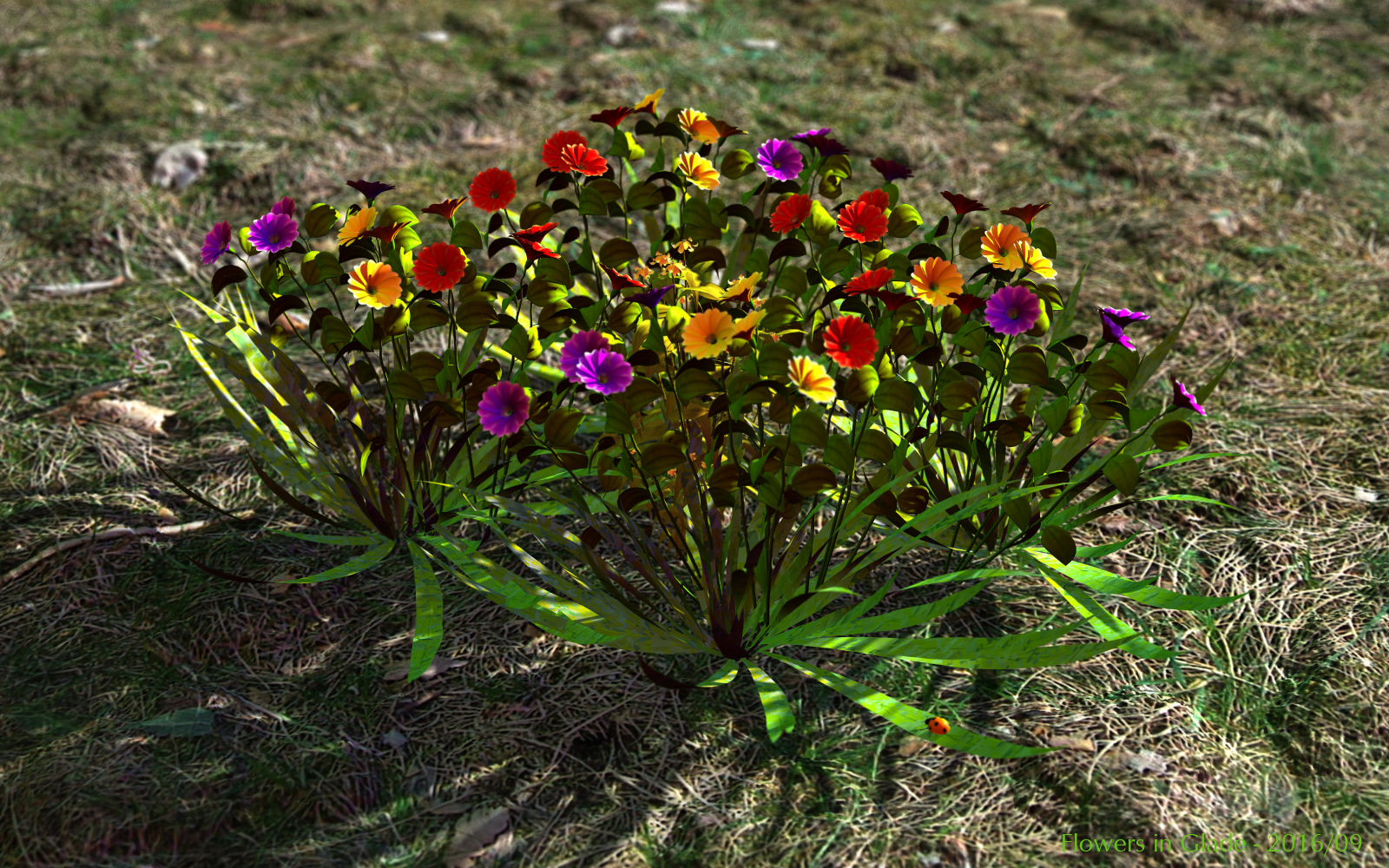 Flowers in Glade