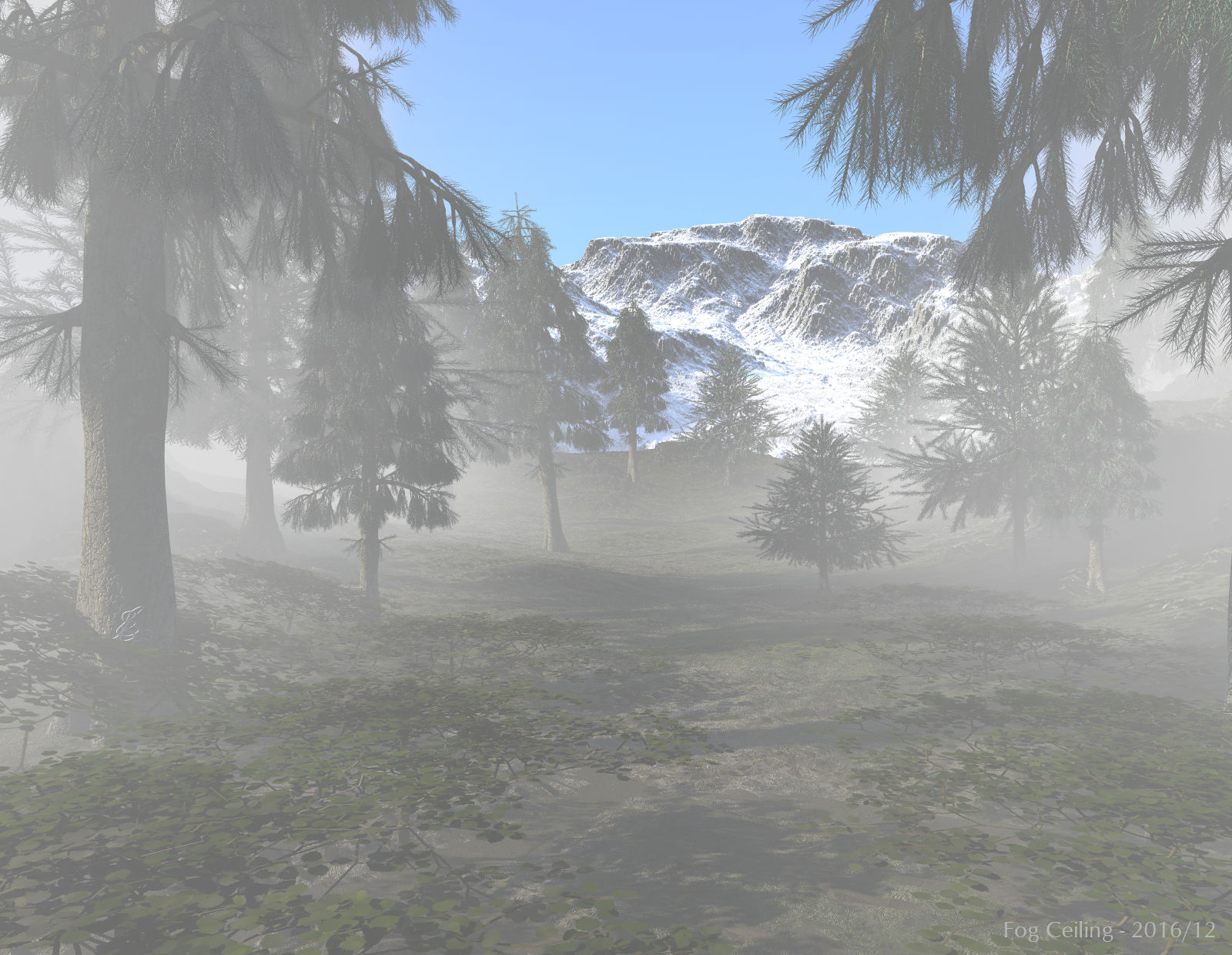 Fog Ceiling